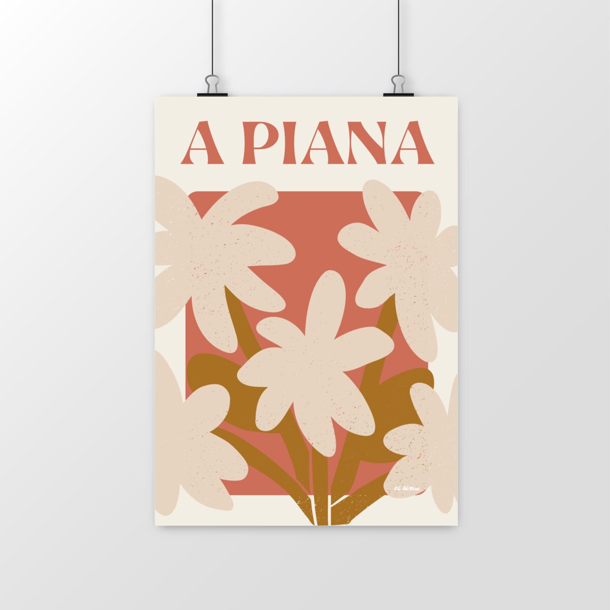 A PIANA