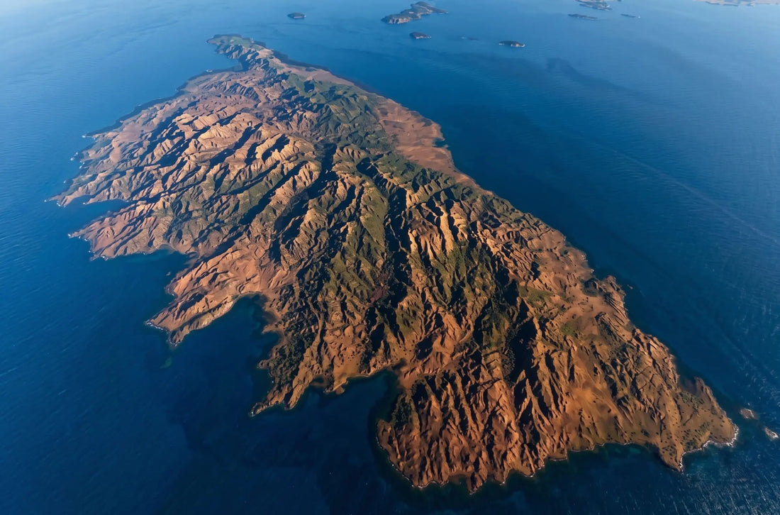 Haute Corse ou Corse du Sud : que choisir ? Le comparatif complet !