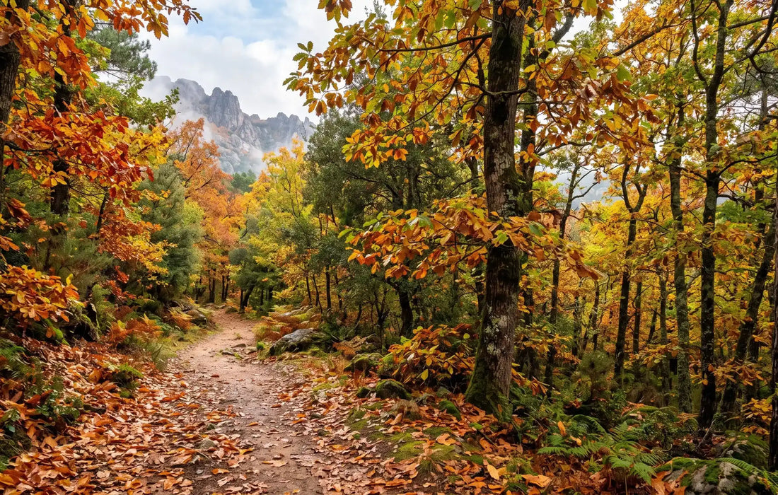 Partir en Corse en automne : météo, baignade en octobre et conseils