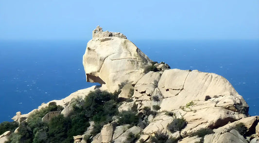 Photo du lion de Roccapina en Corse-du-sud
