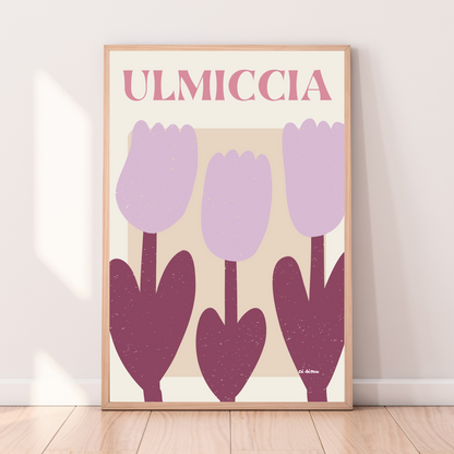 ULMICCIA