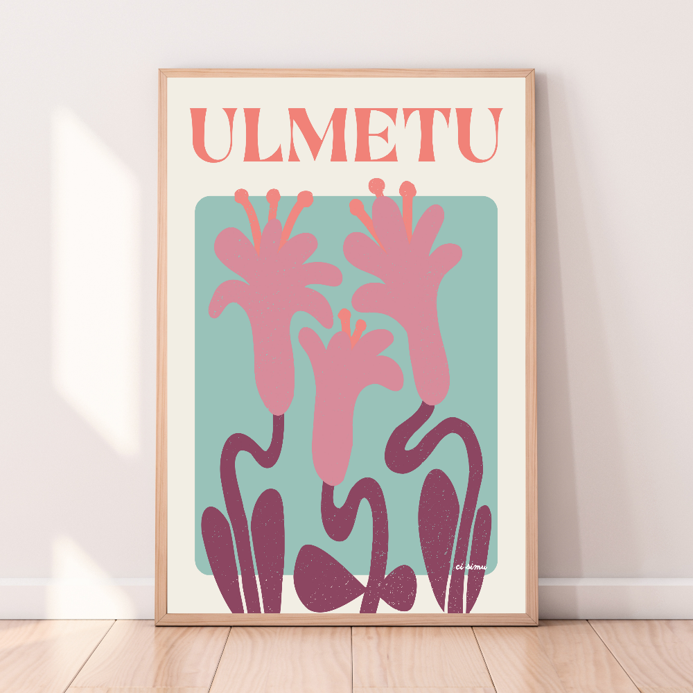 affiche Olmeto Corse