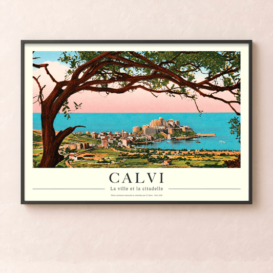Affiche vintage de Calvi avec vue sur la citadelle à travers un pin maritime et la mer Méditerranée, collection Tempi Fà
