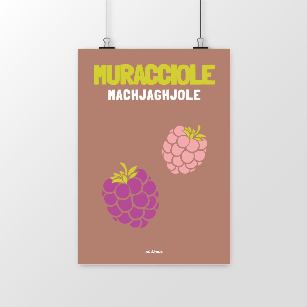 MURACCIOLE