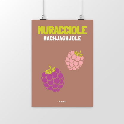MURACCIOLE